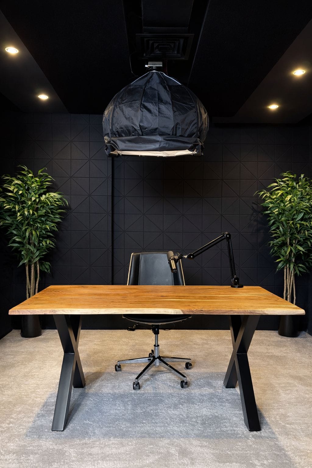 Studio Gallery photo 9